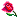 rose :rose